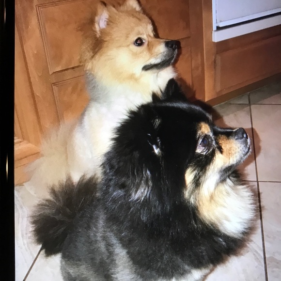 Meet your Posher, Cassandra - Picture 2 of 14